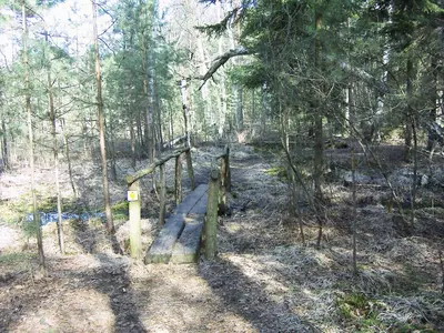 Naturlandschaft in der Nähe des Ferienhauses