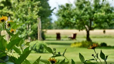 Ein Garten an der Unterkunft JANISCHs Fewo im Spreewald, Terrasse, großer Garten und Blick inklusive