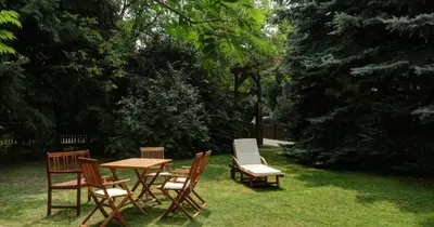Ein Garten an der Unterkunft Garni-Hotel Kranich