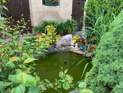 Ein Garten an der Unterkunft Ferienhaus Hennig