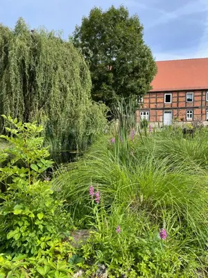 Ein Garten an der Unterkunft 