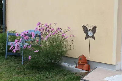 Ein Garten an der Unterkunft Ferienhaus Loose 8