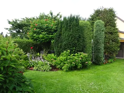 Ein Garten an der Unterkunft Ferienwohnungen Pilke