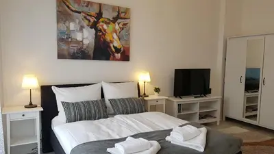 TV/Unterhaltungsangebot in der Unterkunft City Apartment, good location
