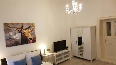 TV/Unterhaltungsangebot in der Unterkunft City Apartment, good location