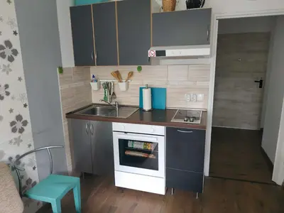 Küche/Küchenzeile in der Unterkunft Apartment Fancy