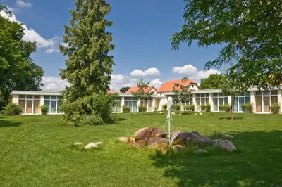 Ein Garten an der Unterkunft Zum Rittmeister