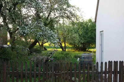 Ein Garten an der Unterkunft Fachwerkhaus am Fluss