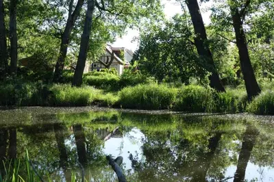 Naturlandschaft in der Nähe des Ferienhauses