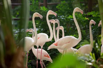 Ein Garten an der Unterkunft Tropical Islands