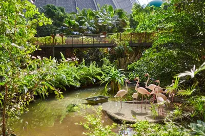 Ein Garten an der Unterkunft Tropical Islands