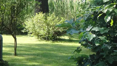 Ein Garten an der Unterkunft Försterhaus am Linowsee
