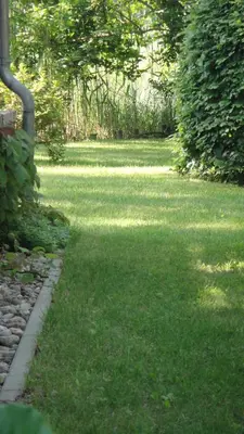 Ein Garten an der Unterkunft Försterhaus am Linowsee