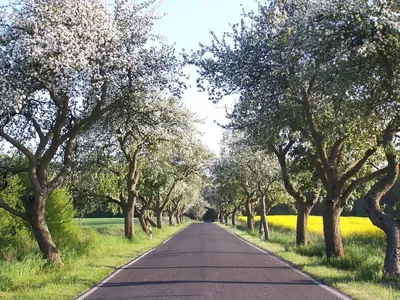Naturlandschaft in der Nähe der Ferienwohnung