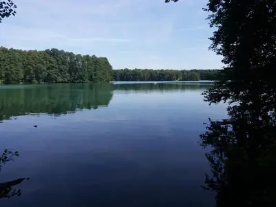 Naturlandschaft in der Nähe der Ferienwohnung