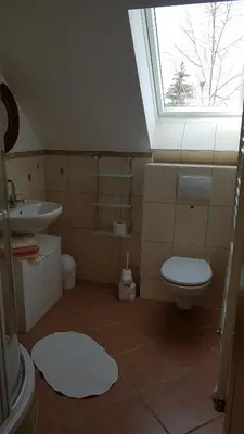Ein Badezimmer in der Unterkunft Urlaubsscheune