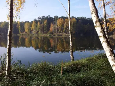 Naturlandschaft in der Nähe der Ferienwohnung