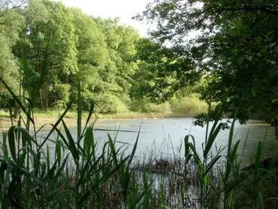 Naturlandschaft in der Nähe des Ferienhauses