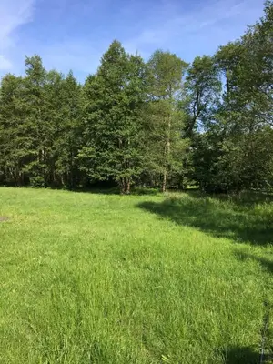 Naturlandschaft in der Nähe der Pension