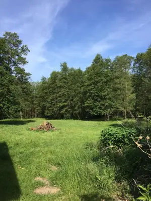 Naturlandschaft in der Nähe der Pension