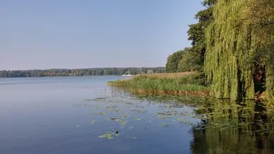 Naturlandschaft in der Nähe der Ferienwohnung