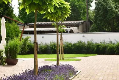 Ein Garten an der Unterkunft Villa Veda