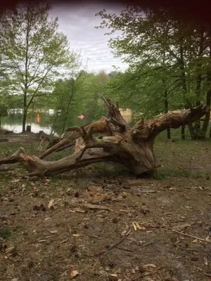 Naturlandschaft in der Nähe der Ferienwohnung