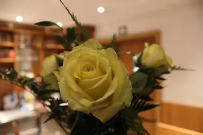 Grundriss der Unterkunft Hotel Albena - garni Hotel