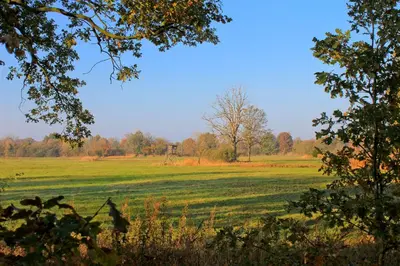Naturlandschaft in der Nähe der Ferienwohnung