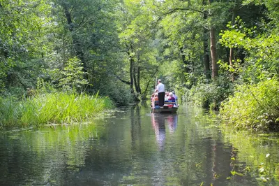 Naturlandschaft in der Nähe der Ferienwohnung