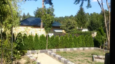 Ein Garten an der Unterkunft Holiday paradise