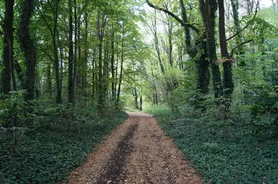 Naturlandschaft in der Nähe der Ferienwohnung