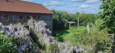 Ein Garten an der Unterkunft Dreigärten Brodowin