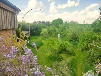 Ein Garten an der Unterkunft Dreigärten Brodowin