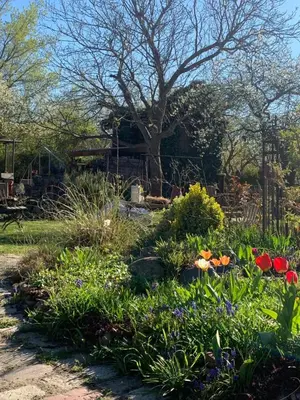 Ein Garten an der Unterkunft Ferienwohnung am Netzener See
