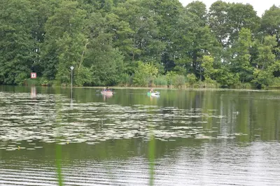 Naturlandschaft in der Nähe der Ferienwohnung