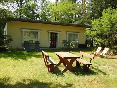 Ein Garten an der Unterkunft Haus Waldfrieden