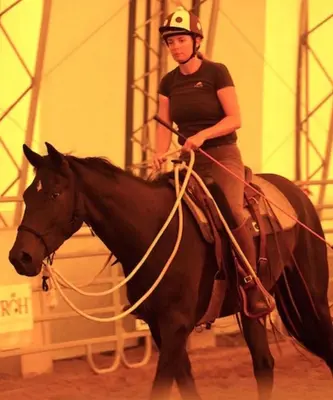 Reiten in der Ferienwohnung oder in der Nähe