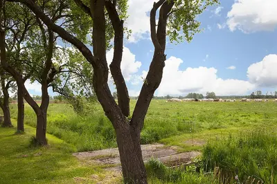 Naturlandschaft in der Nähe der Pension