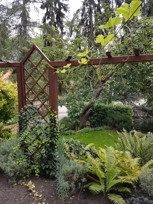 Ein Garten an der Unterkunft Ferienwohnung Mittelmühle