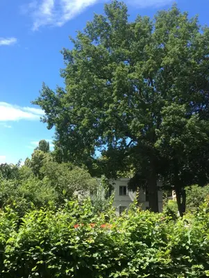 Ein Garten an der Unterkunft Zur Eiche Potsdam