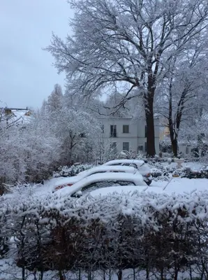 Zur Eiche Potsdam im Winter