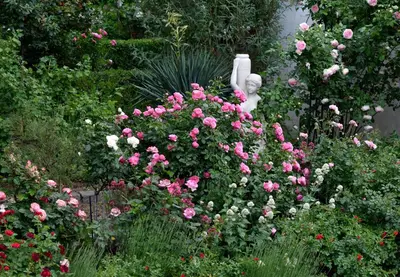 Ein Garten an der Unterkunft Zur Eiche Potsdam