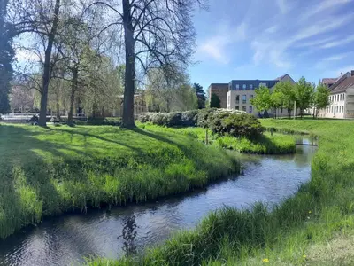 Naturlandschaft in der Nähe des Bed & Breakfasts