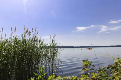 Naturlandschaft in der Nähe des Ferienparks