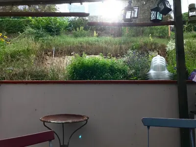 Ein Garten an der Unterkunft Bellevue Gastgeberei