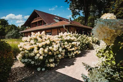 Ein Garten an der Unterkunft Pension Lehnigksberg