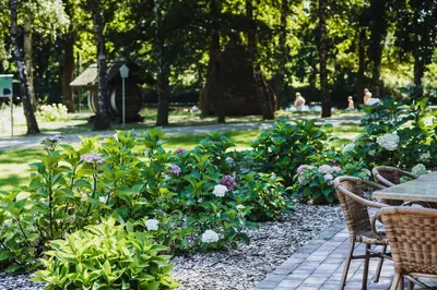 Ein Garten an der Unterkunft Pension Lehnigksberg