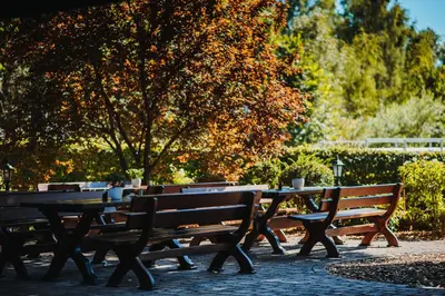 Ein Garten an der Unterkunft Pension Lehnigksberg