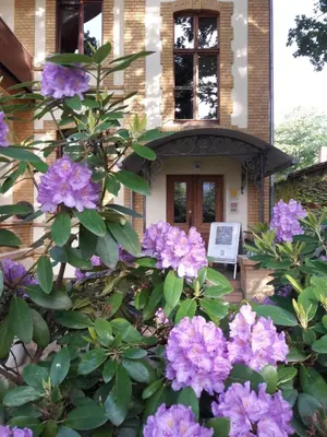Ein Garten an der Unterkunft Residenz Villa Kult